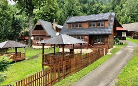 Viktoria- Neakceptujeme Mlade Partie